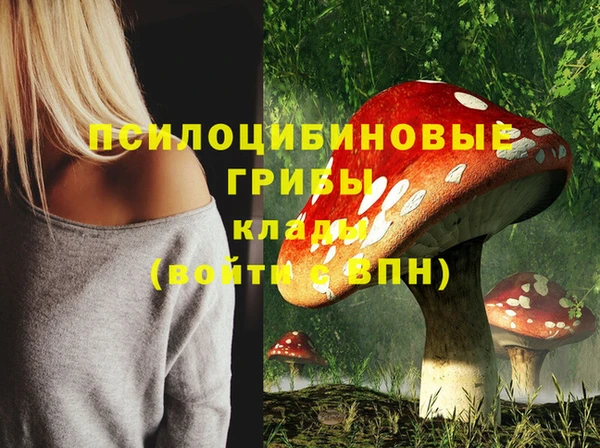 гидра Алзамай