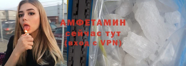 прущие грибы Абинск