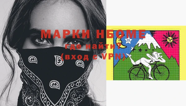 прущие грибы Абинск